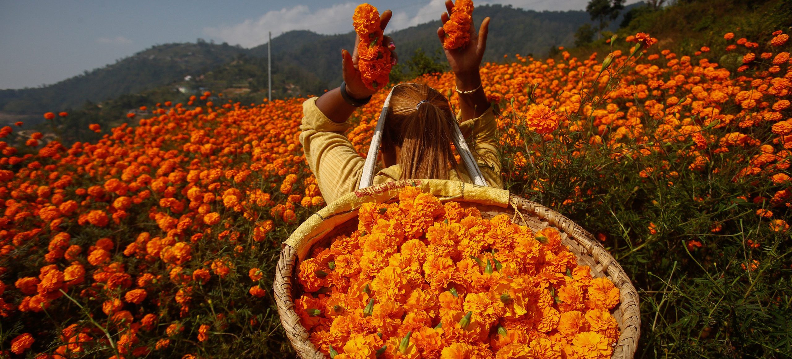 यमपञ्चक आजदेखि सुरु, ११ बजेपछि धनतेरस, काग तिहार भने भोलि