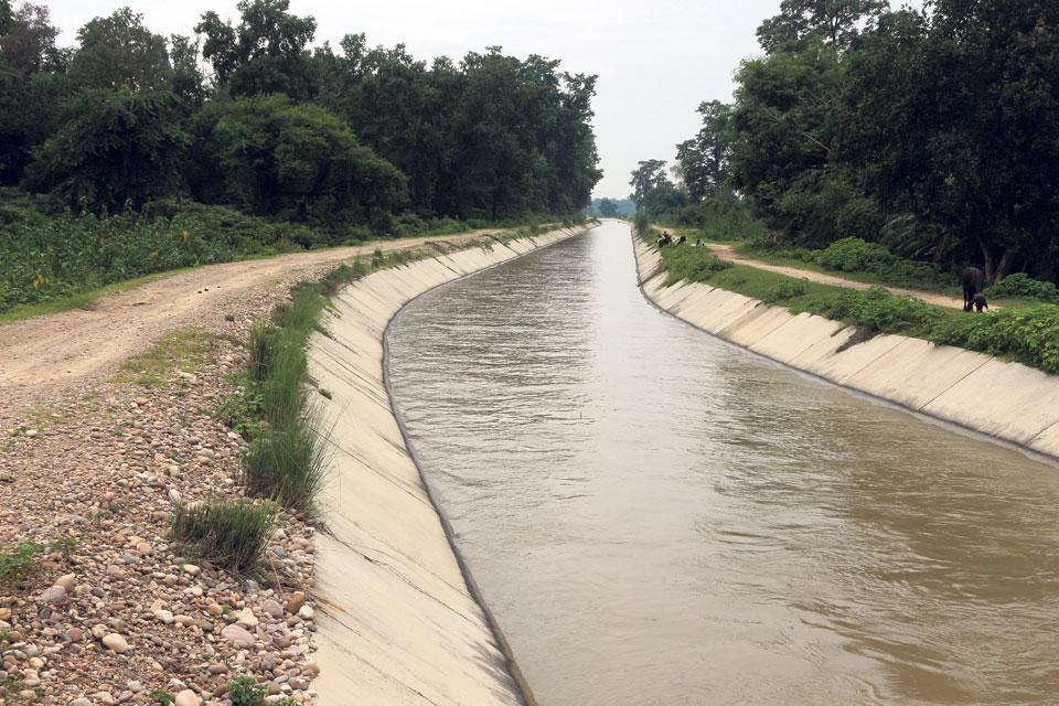 बबई सिँचाइको नहरले बगाउँदा बालिकाको मृत्यु