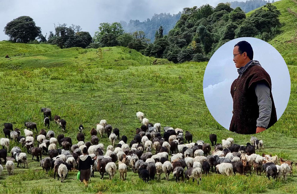 पढाइ स्नातकोत्तर, काम भेँडा चराउने !