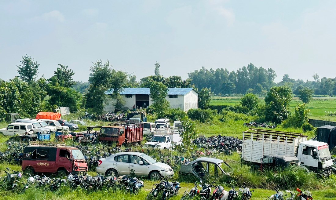 इलाममा उत्पादित तयारी चियाको माग बढ्यो तर, उत्पादन घट्यो