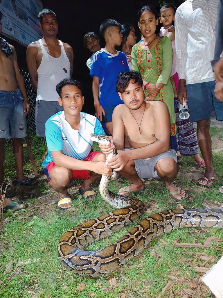 उखुबारीबाट ब्रुमाइज पाइथान (अजिङ्गर)को उद्धार