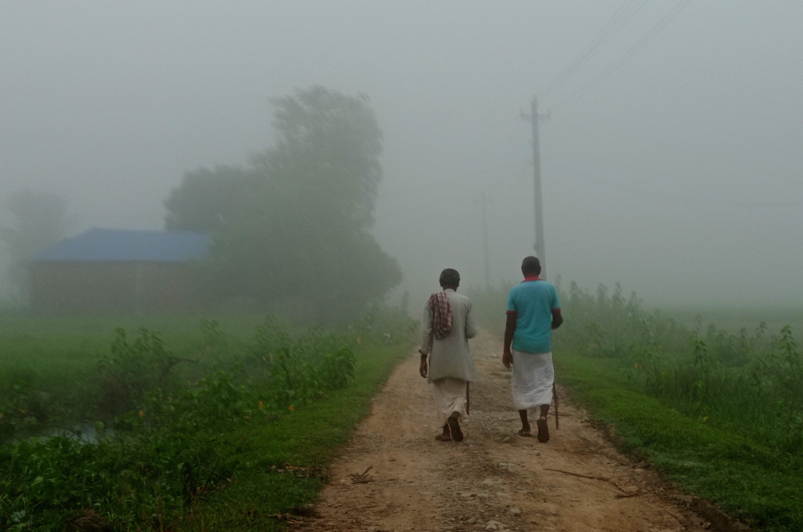 हुस्सुले ढाक्यो पूर्वी तराई