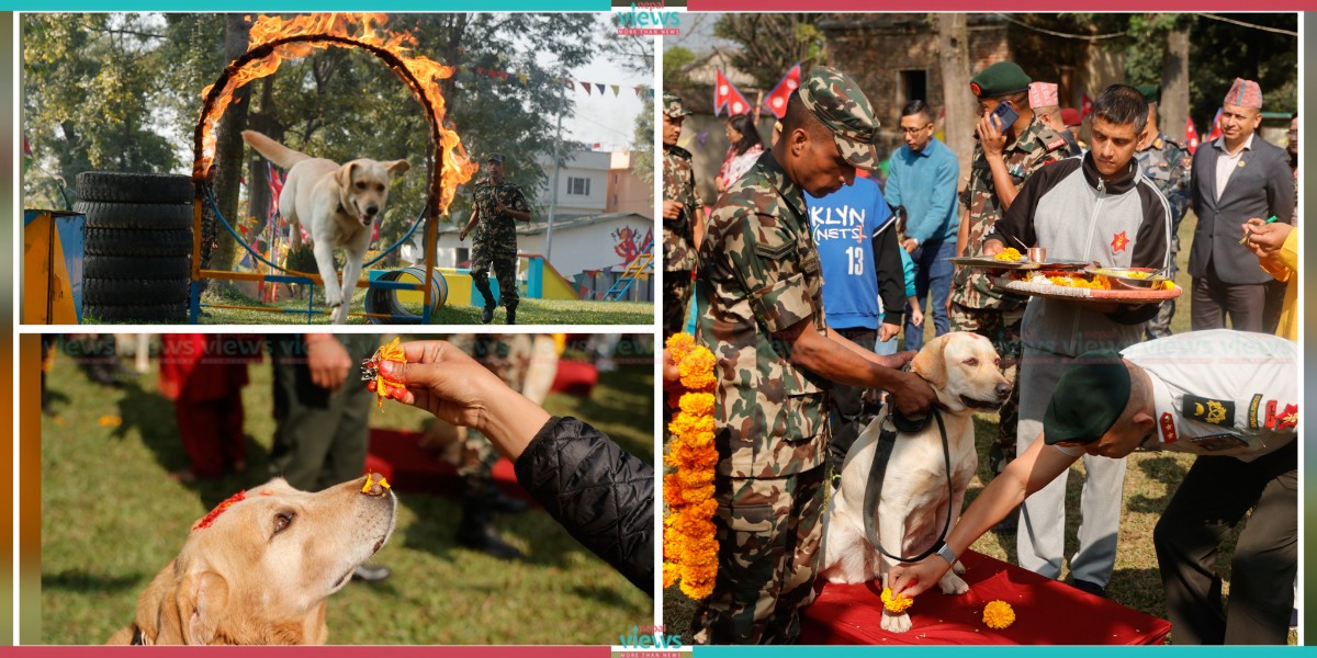 सेनाको भैरव वाहन गुल्ममा कुकुर तिहार (तस्वीरहरू)