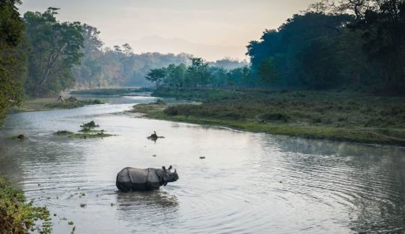 चितवन राष्ट्रिय निकुञ्जको सुरक्षा व्यवस्था थप सुदृढ