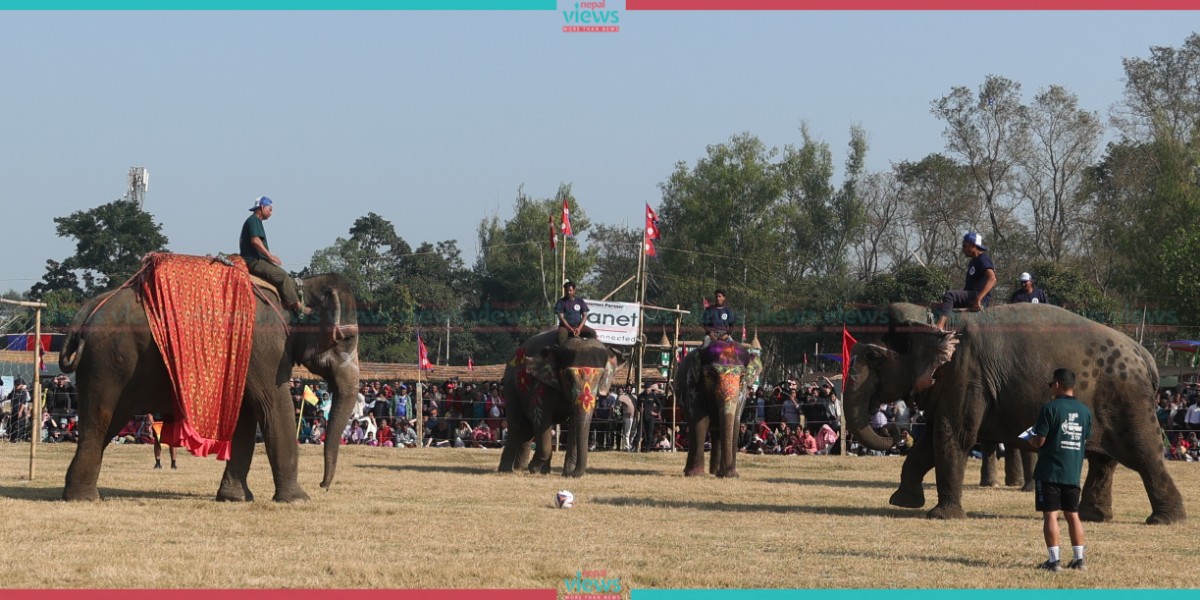 लगातार जितसँगै वसन्तीकली हात्ती समूह फाइनलमा (तस्वीरहरू)