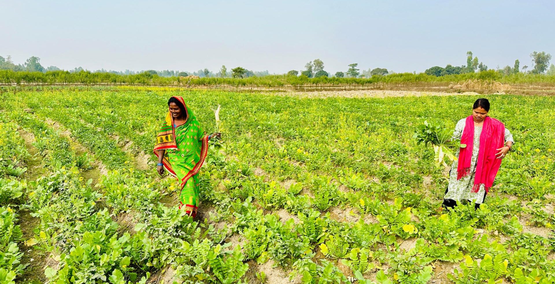 सामूहिक खेतीगरी आत्मनिर्भर बन्दै सिसवोनीका महिला