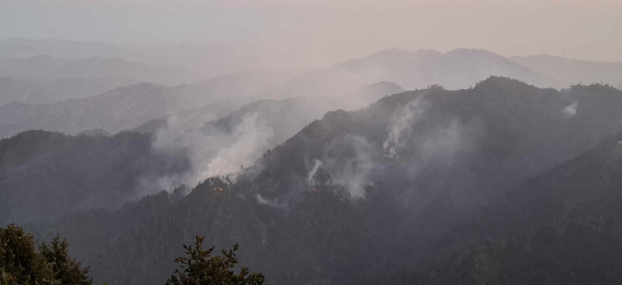 महाभारतको वनमा लागेको आगो निभाउन सेना परिचालन, पर्यटकीय क्षेत्रमा जान रोक