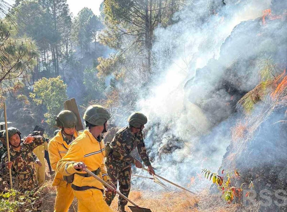 पाल्पाको जङ्गलमा डढेलो