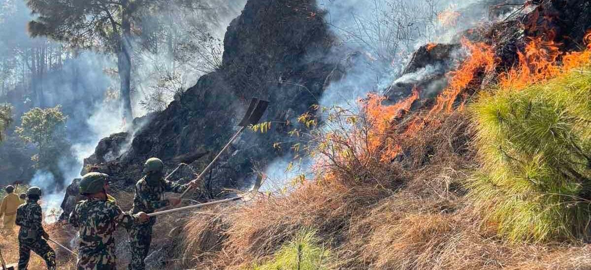 पाल्पामा मङ्गलबारदेखि लागेको डढेलो अझै निभेन, चारवटा सामुदायिक वनमा क्षति